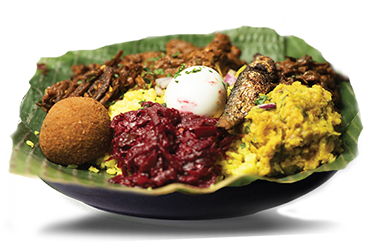 maya's south indian restaurant