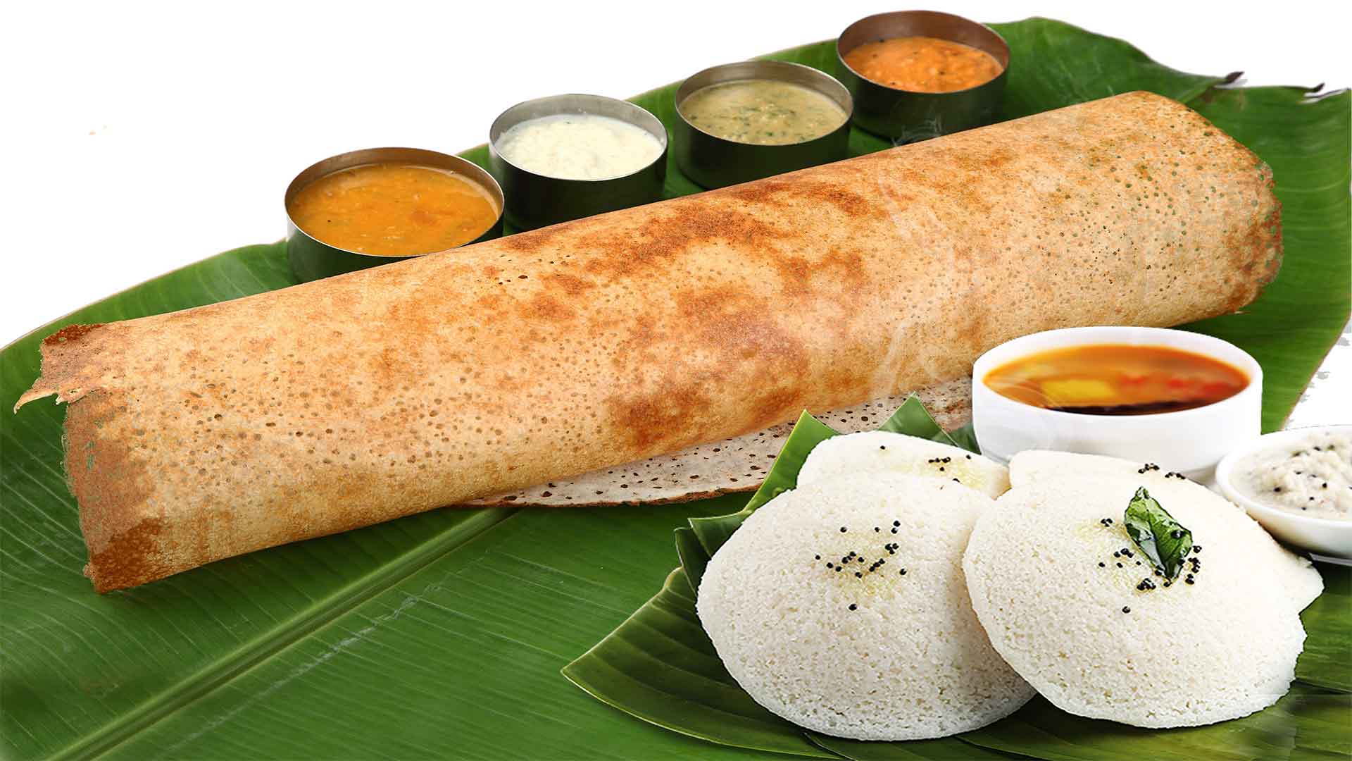 maya's south indian restaurant